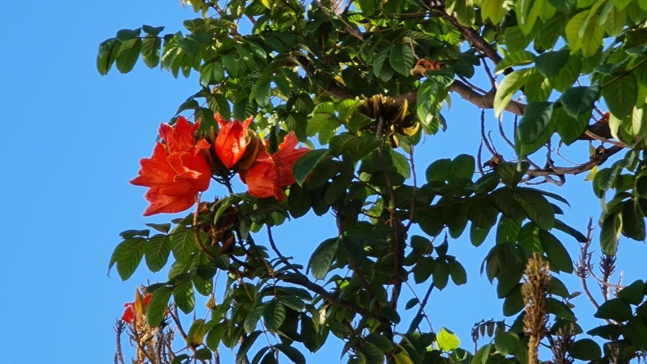 Finca Dona Maria Benalmádena Exteriér fotografie